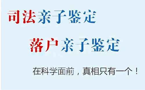 大连落户亲子鉴定准不准?哪家更权威一些?